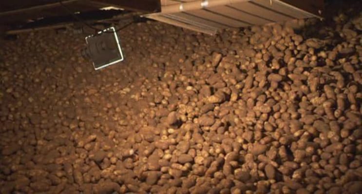 植物的欲望 The Botany of Desire