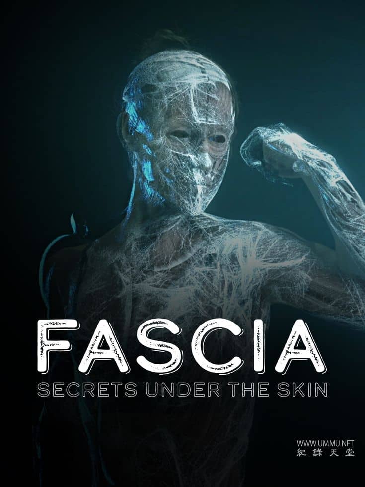 筋膜：皮肤下的秘密 Fascia: Secrets under the Skin