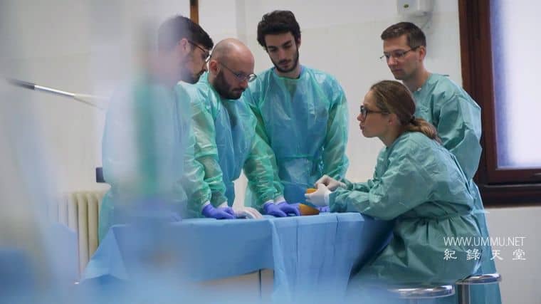 筋膜：皮肤下的秘密 Fascia: Secrets under the Skin