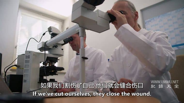 筋膜：皮肤下的秘密 Fascia: Secrets under the Skin