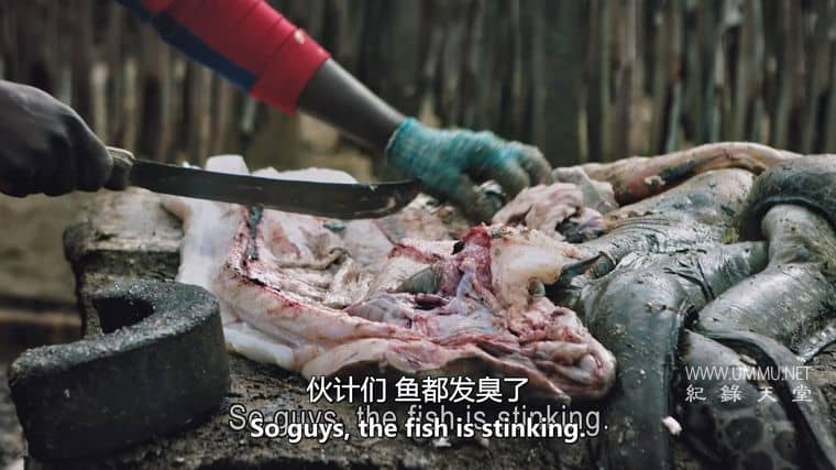 撒哈拉沙漠 Sahara