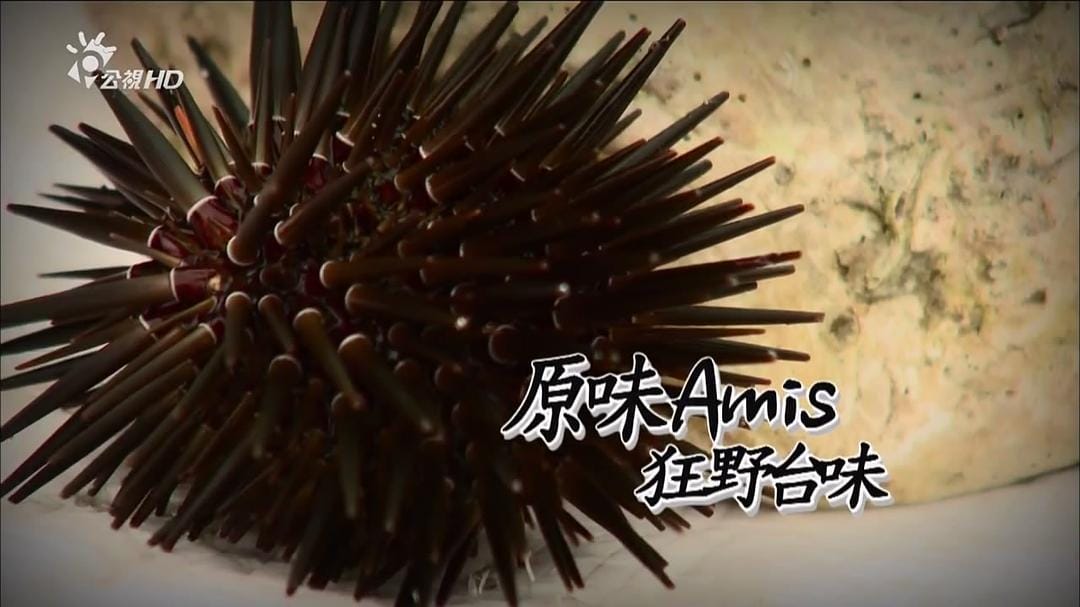 台湾食堂 台灣食堂