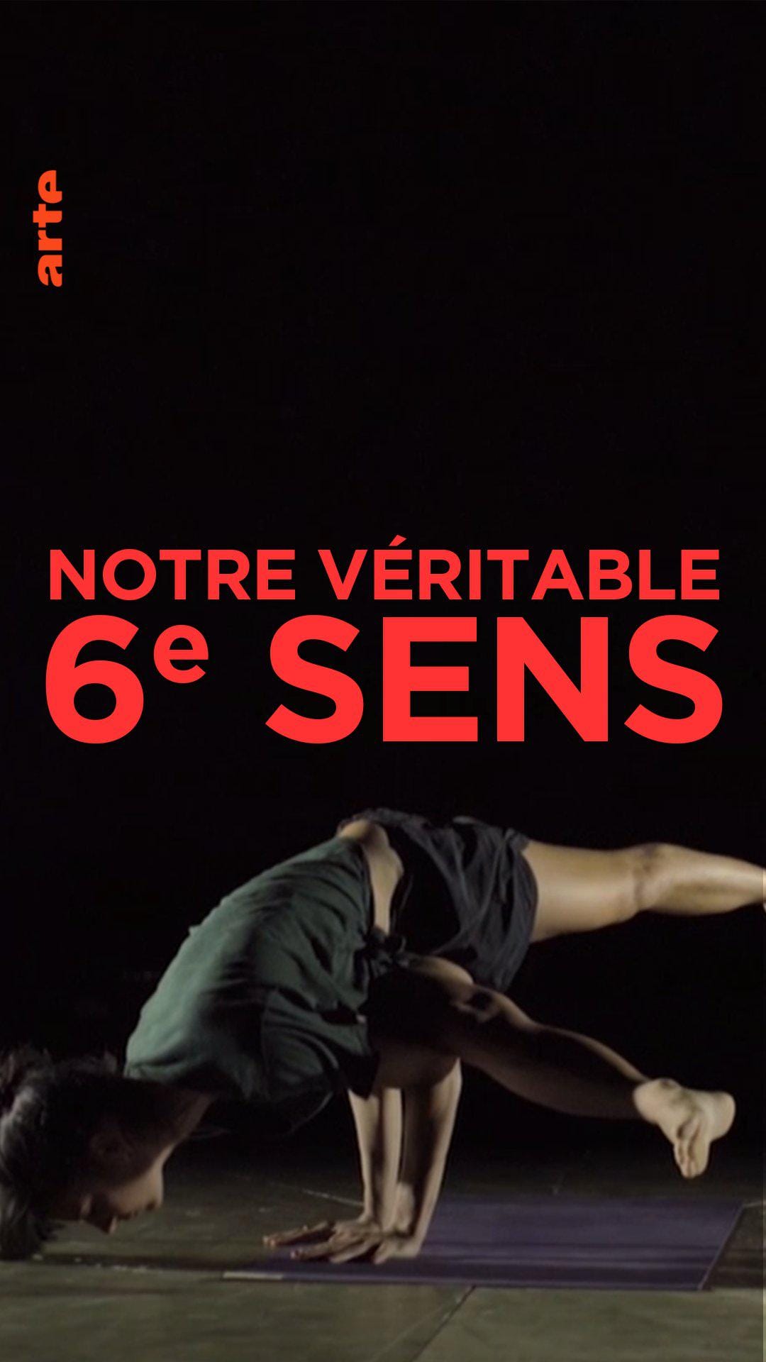 神秘第六感 Notre véritable 6ème sens