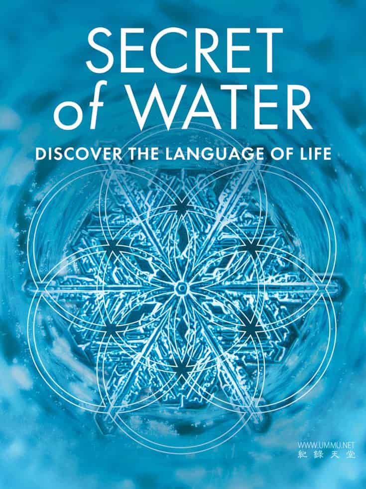 水的秘密 Secret Of Water
