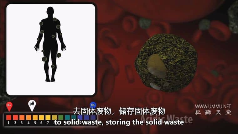 水的秘密 Secret Of Water