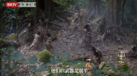 中华：龙的传人 第1季 共8集