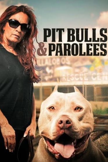 狗儿救援迎新生 第4季 Pit Bulls and Parolees
