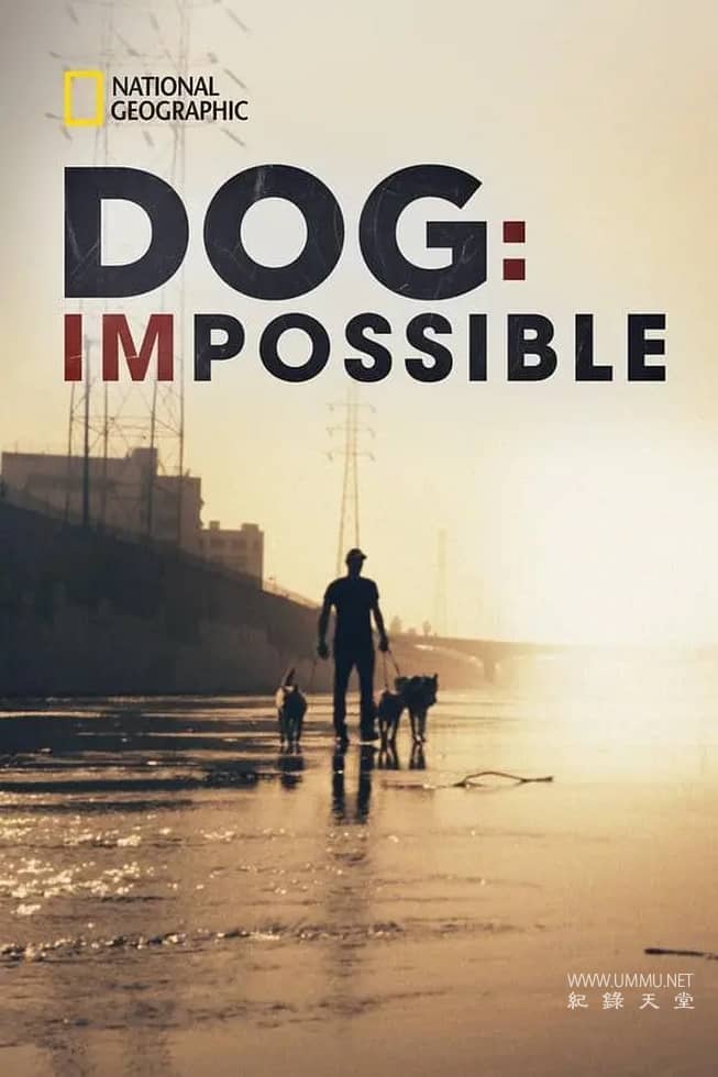 狗：不可能 Dog: Impossible