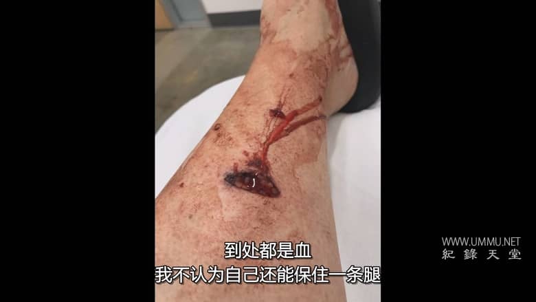 狗：不可能 Dog: Impossible