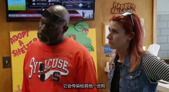 狗儿救援迎新生 第7季  Pit Bulls and Parolees