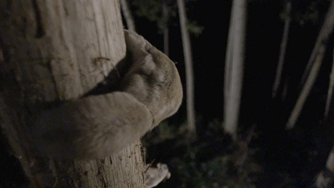 野性加拿大 第一季 Wild Canada Season 1