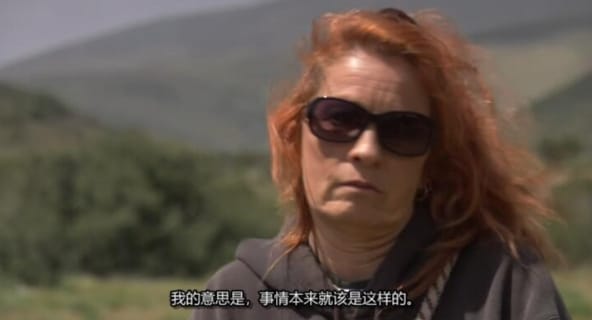 [狗儿救援迎新生 第2季 Pit Bulls and Parolees