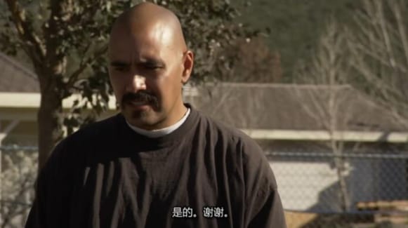 [狗儿救援迎新生 第2季 Pit Bulls and Parolees