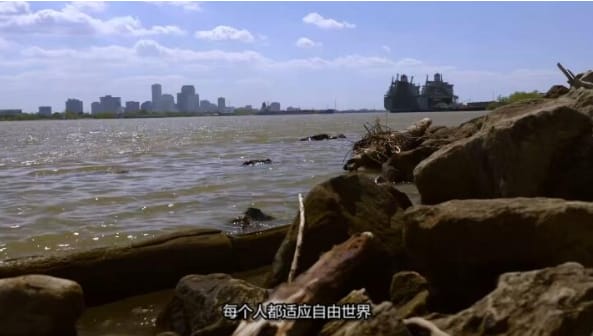 狗儿救援迎新生 第14季 Pit Bulls and Parolees