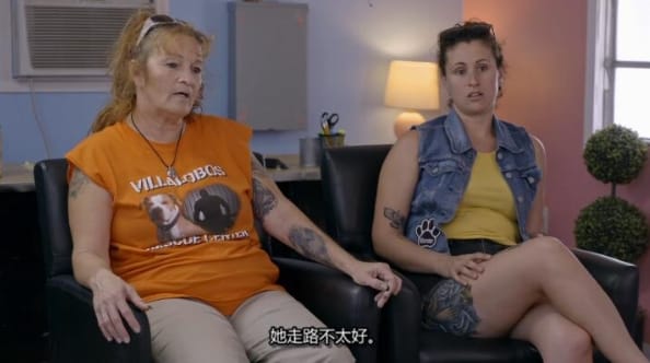 狗儿救援迎新生 第14季 Pit Bulls and Parolees