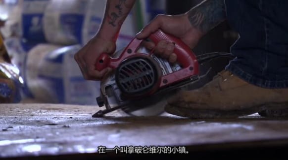 狗儿救援迎新生 第8季 Pit Bulls and Parolees