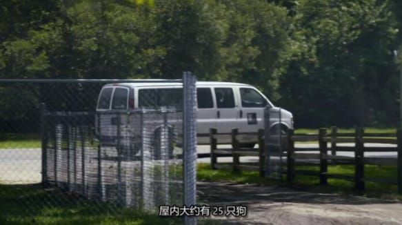 狗儿救援迎新生 第13季 Pit Bulls and Parolees