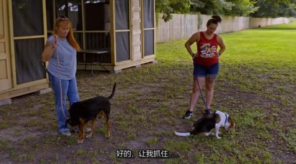 狗儿救援迎新生  第18季 Pit Bulls and Parolees