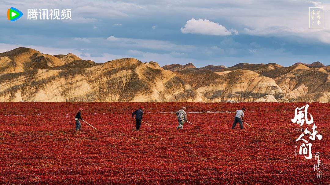 风味人间 第五季