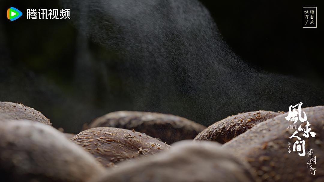 风味人间 第五季