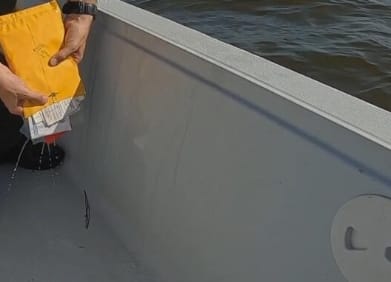 路易斯安那保育战  第二季 Louisiana Law