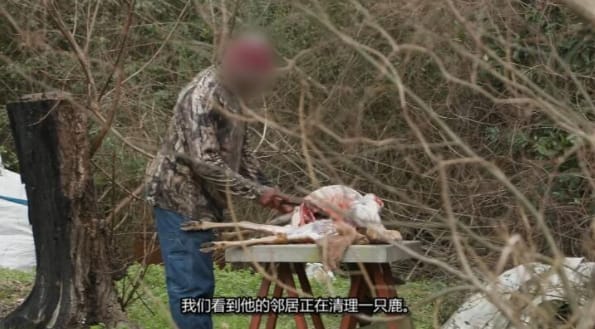 路易斯安那保育战  第三季 Louisiana Law