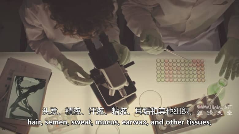 最终被抓 Finally Caught