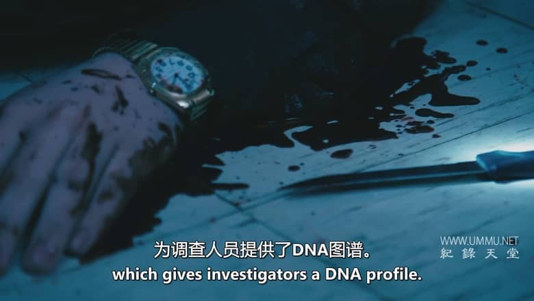 最终被抓 Finally Caught