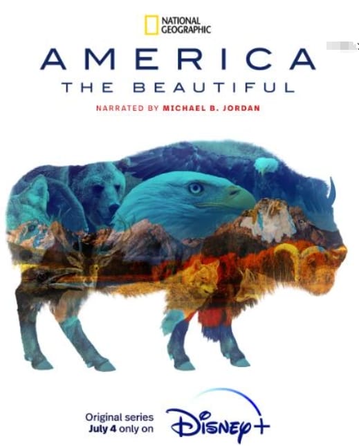 美丽美利坚  第1季 America the Beautiful