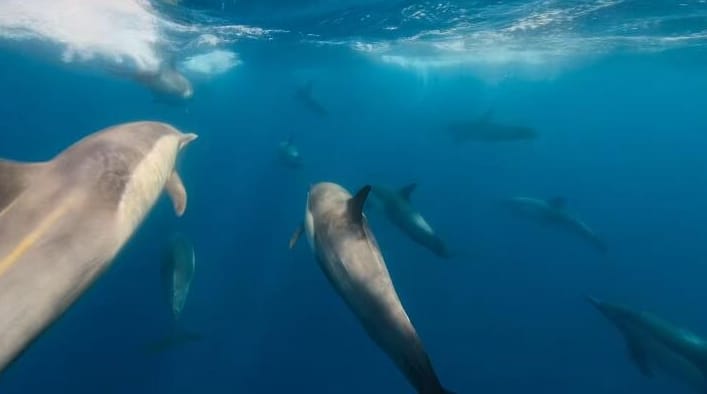 美丽美利坚  第1季 America the Beautiful