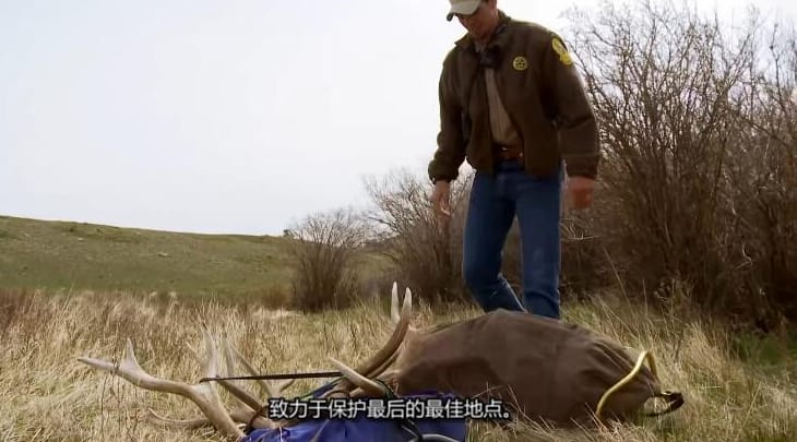 黄石公园守卫者  第1季 Yellowstone Wardens