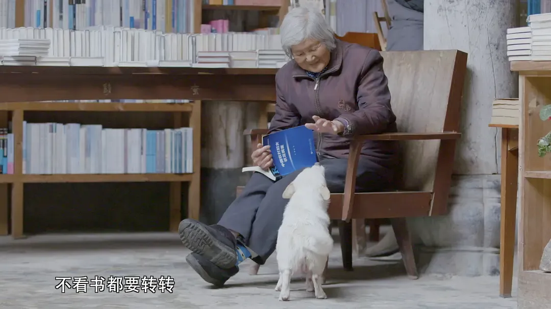 书迷 Being A Book Fanatic