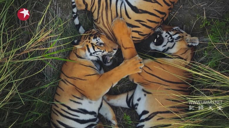 亚洲 2024 Asia 2024