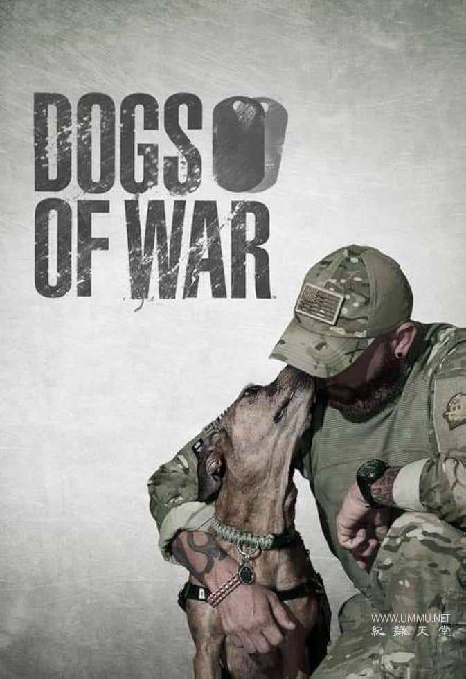 战后应激疗愈犬 Dogs of War