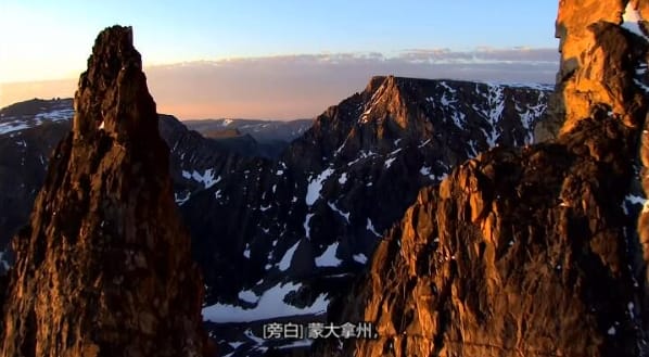 黄石公园守卫者  第5季 Yellowstone Wardens