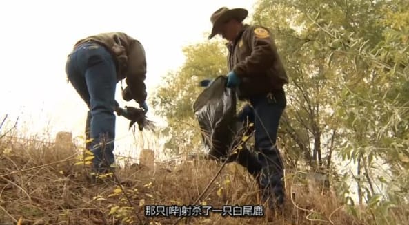 黄石公园守卫者  第5季 Yellowstone Wardens