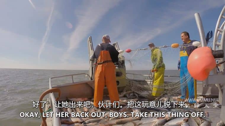 阿拉斯加：海湾捕鱼之战 Alaska: Battle on the Bay