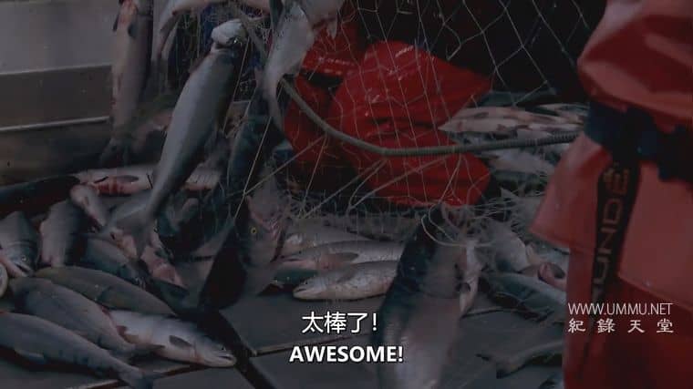 阿拉斯加：海湾捕鱼之战 Alaska: Battle on the Bay