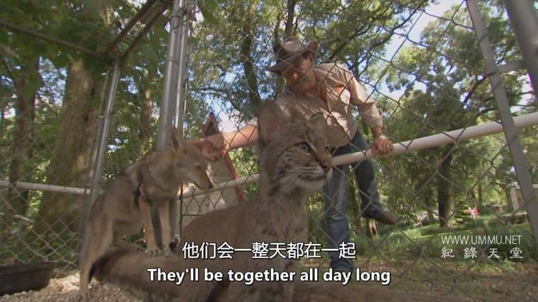 狗狗最好的朋友 Dog's Best Friend