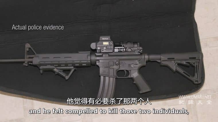 人面兽心 第9-11季 American Monster