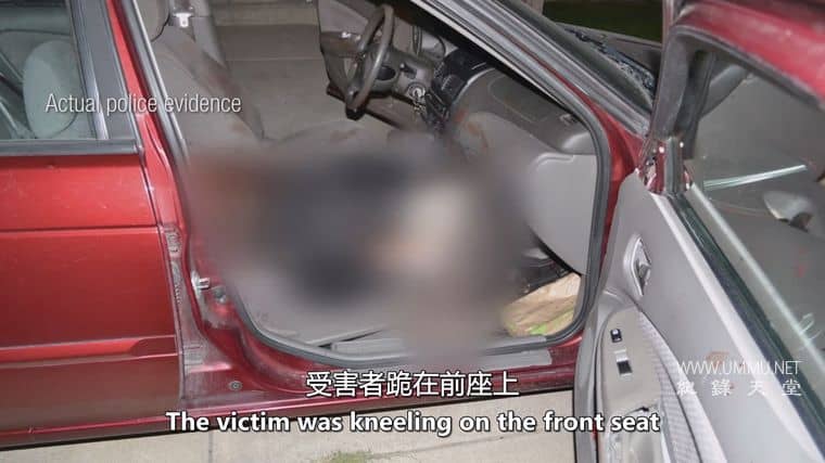 人面兽心 第9-11季 American Monster