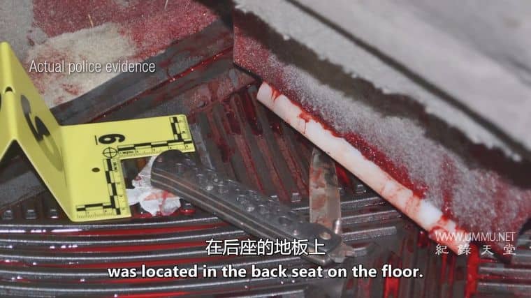 人面兽心 第9-11季 American Monster