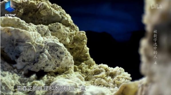 《被数学选中的人》