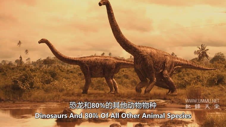 小行星冲刺 Asteroid Rush