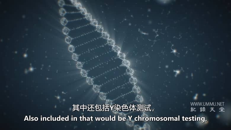 血缘侦探 第3-4季 Bloodline Detectives