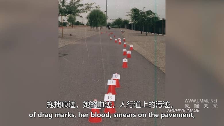 血缘侦探 第3-4季 Bloodline Detectives