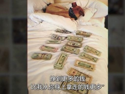 纯素败类：名声、诈骗、逃犯 Bad Vegan: Fame. Fraud. Fugitives.