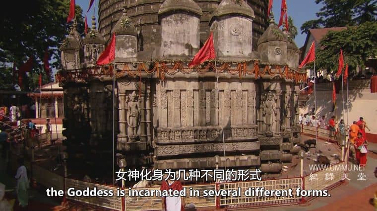 神圣的女性 Divine Women