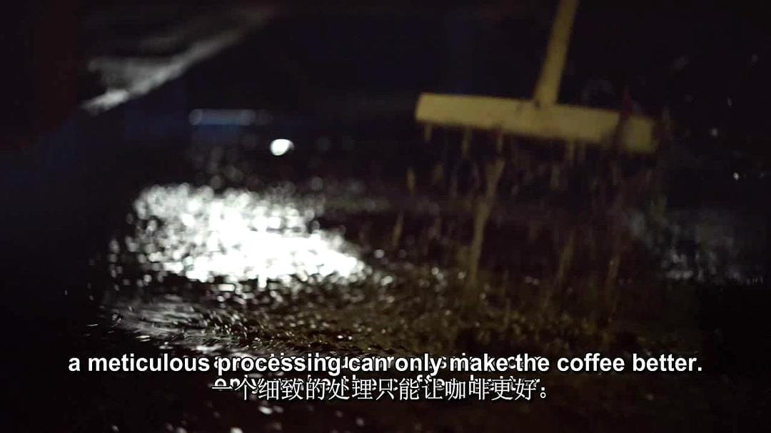 一部关于咖啡的电影 A Film about Coffee