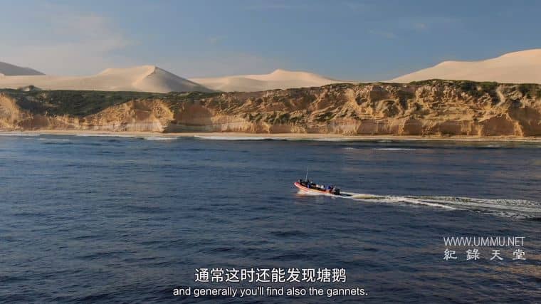 海洋天才小猎手 Genius Sea Hunters